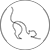Gatto